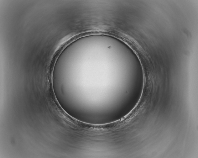 X0000113141168200909041202