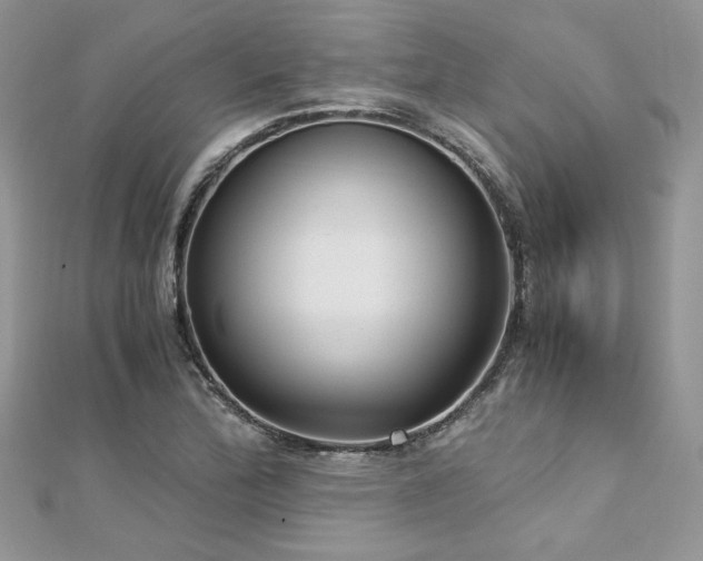 X0000113141172200909041202