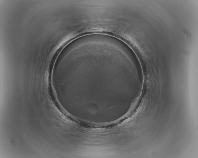 X0000113141173200909041202
