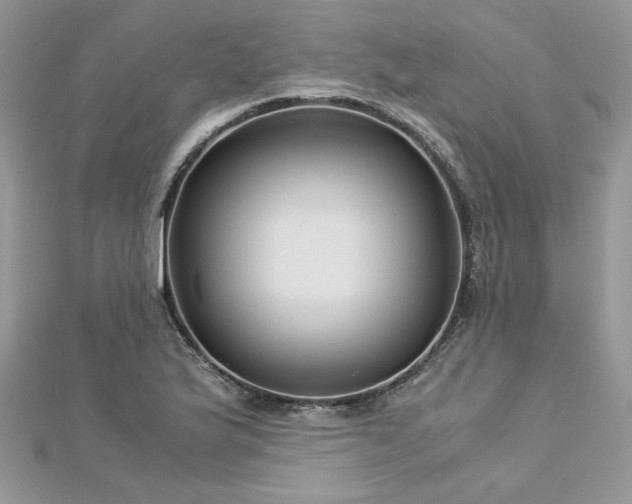 X0000113141175200909041202