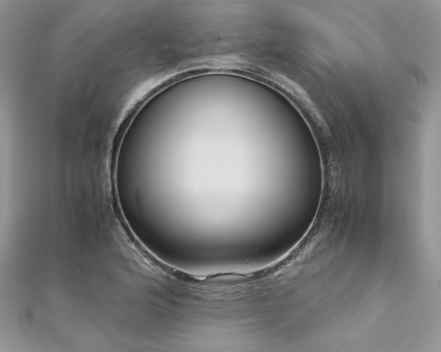 X0000113141176200909041202