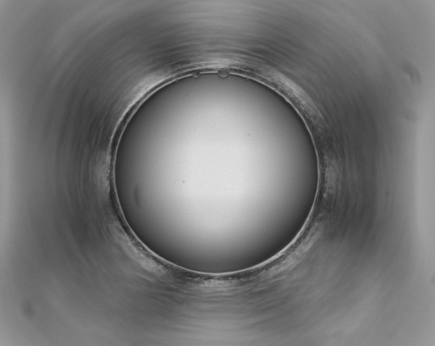 X0000113141178200909041202