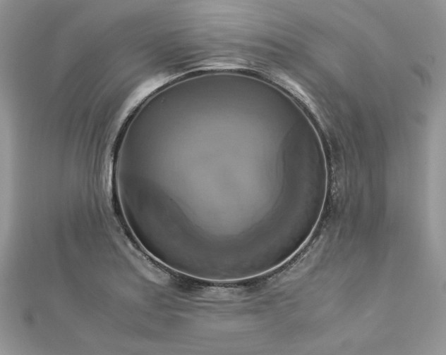 X0000113141179200909041202