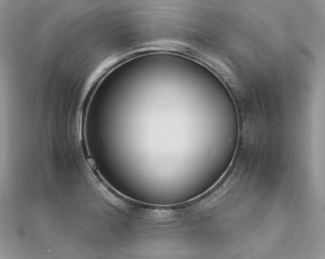 X0000113141180200909041202