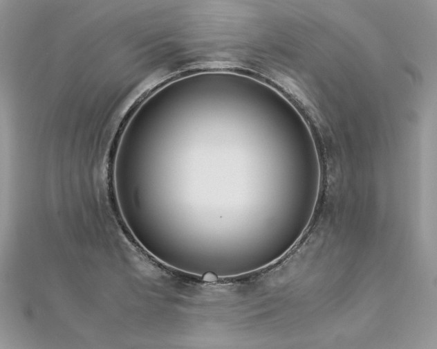 X0000113141181200909041202