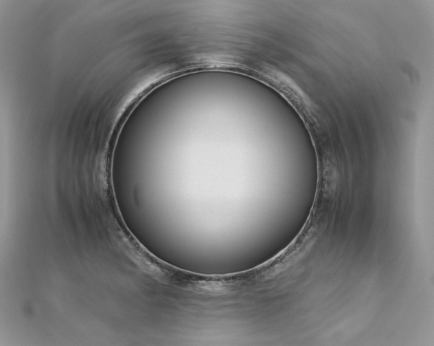 X0000113141182200909041202