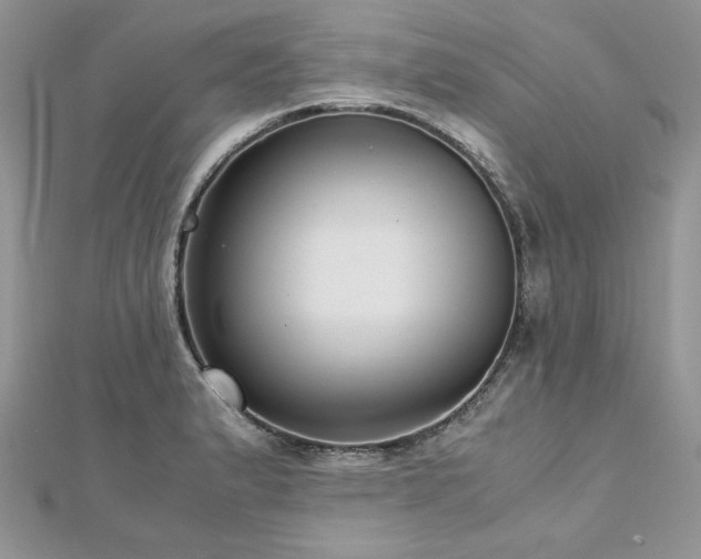X0000113141183200909041202