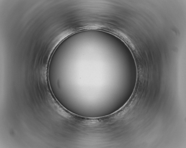 X0000113141186200909041202
