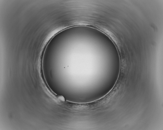X0000113141187200909041202