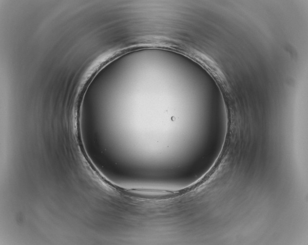 X0000113141188200909041202