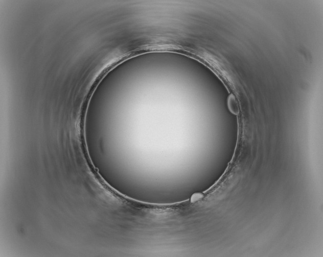 X0000113141189200909041202