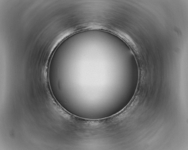 X0000113141190200909041202