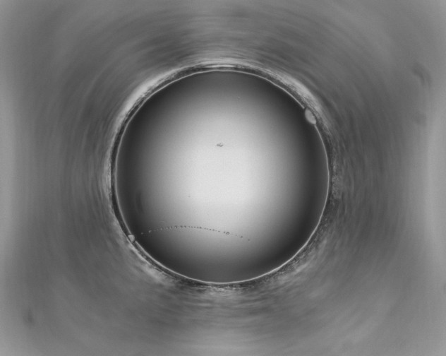 X0000113141191200909041202