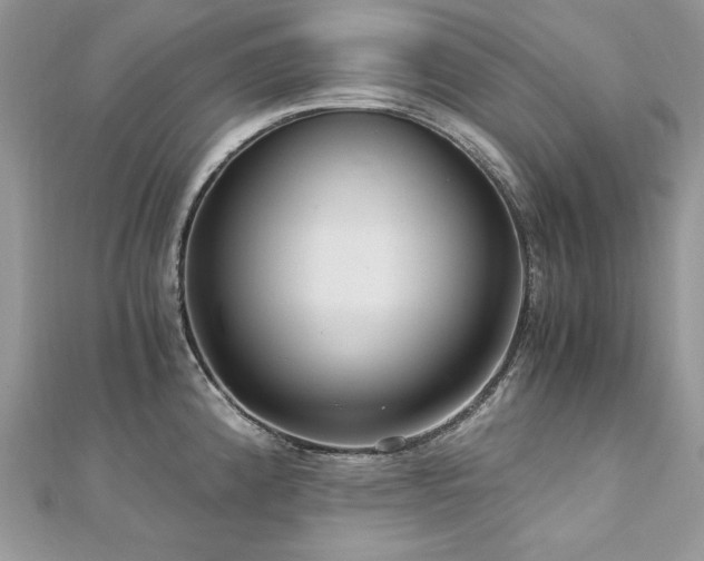 X0000113141192200909041202