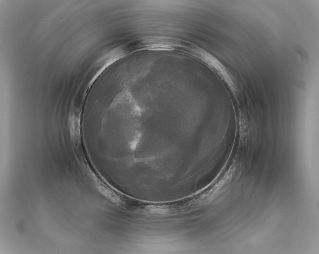 X0000113141194200909041202