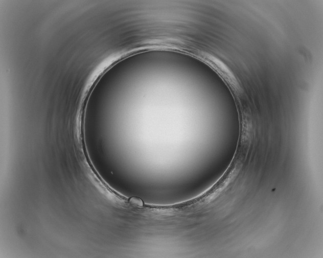 X0000113141196200909041202