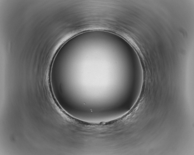 X0000113141197200909041202