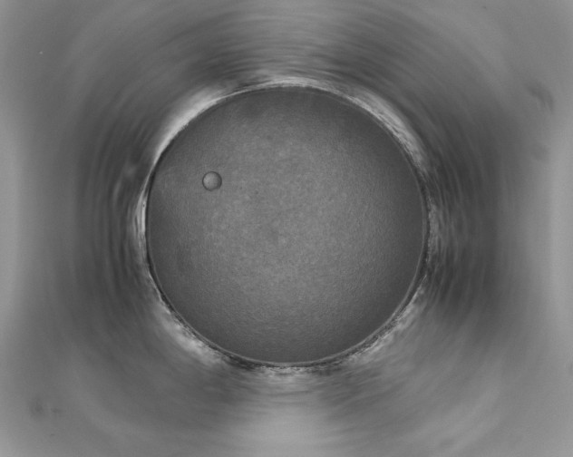 X0000113141198200909041202
