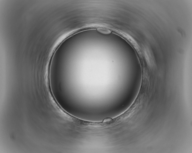 X0000113141199200909041202