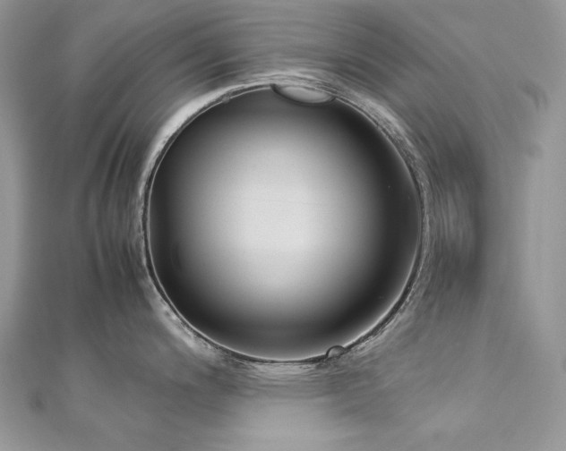 X0000113141200200909041202