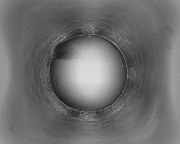 X0000113141201200909041201