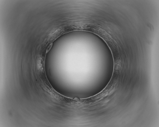 X0000113141202200909041201