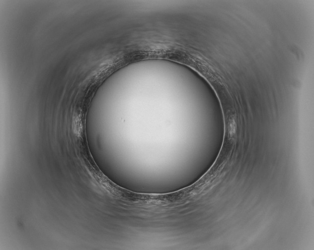 X0000113141204200909041201