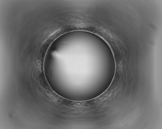 X0000113141205200909041201