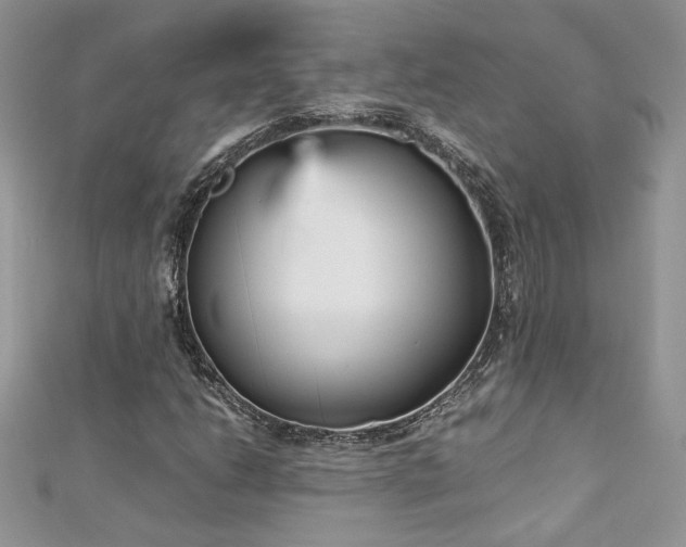 X0000113141206200909041201