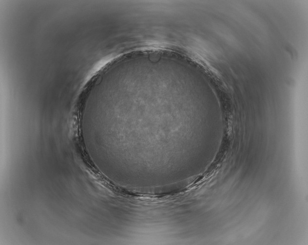 X0000113141208200909041201