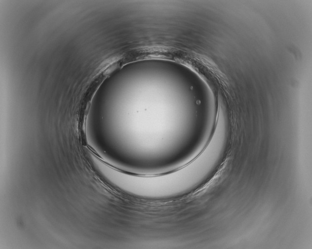 X0000113141209200909041202