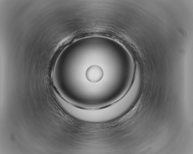 X0000113141210200909041202