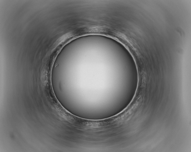 X0000113141211200909041202