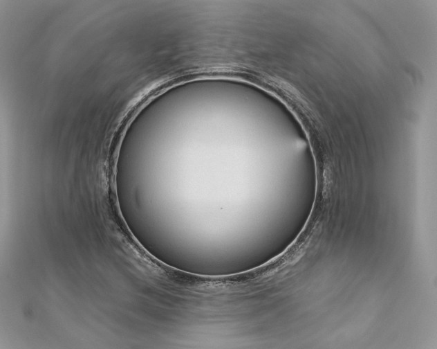 X0000113141212200909041202