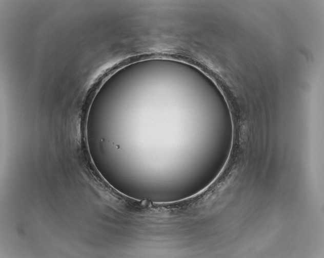 X0000113141214200909041202