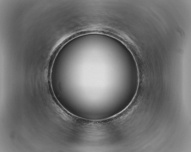 X0000113141216200909041202