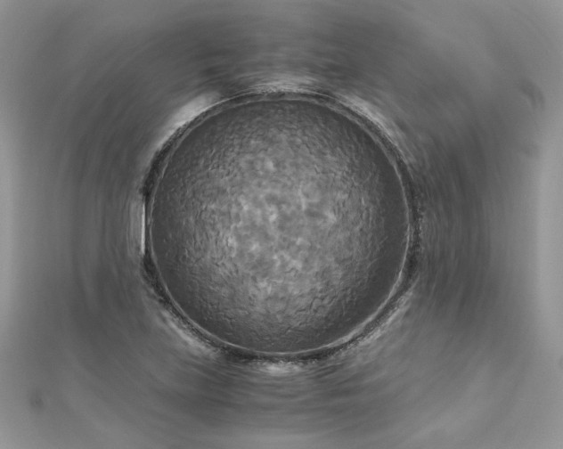 X0000113141219200909041202