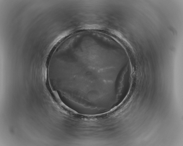 X0000113141221200909041202