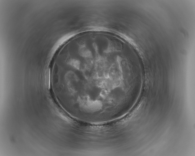 X0000113141223200909041202