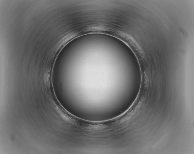 X0000113141225200909041202