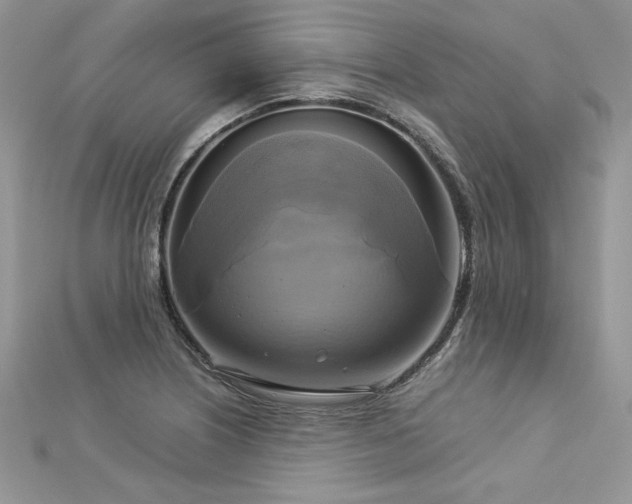X0000113141226200909041202