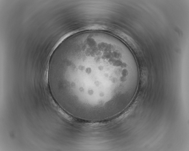 X0000113141228200909041202