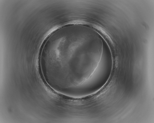 X0000113141229200909041202