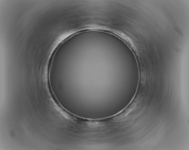 X0000113141231200909041202
