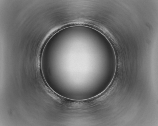 X0000113141232200909041202