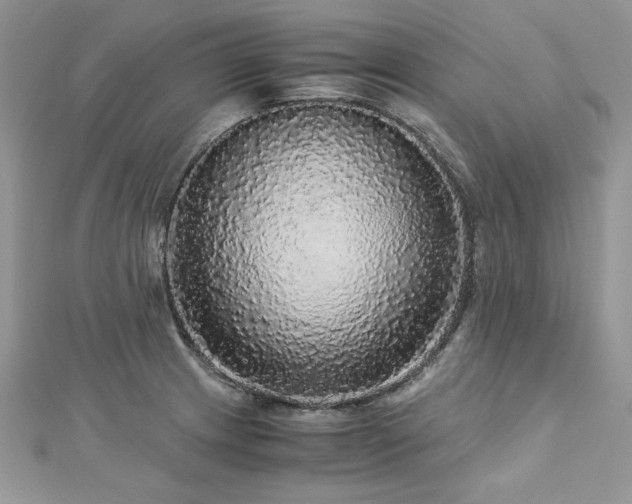 X0000113141233200909041202