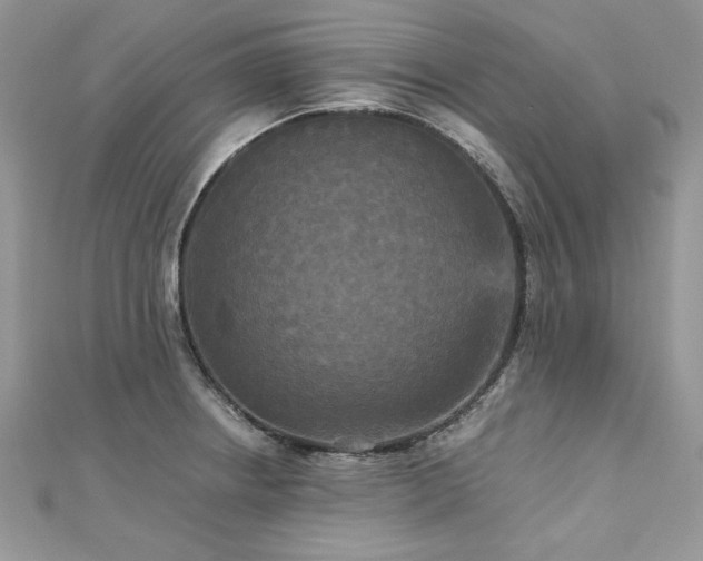 X0000113141234200909041202