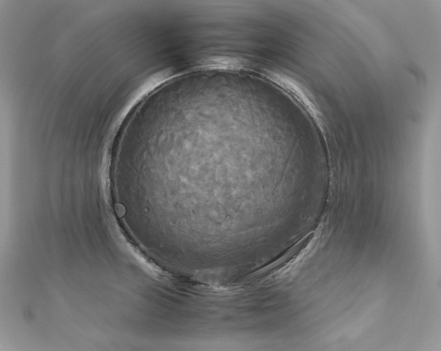 X0000113141235200909041202