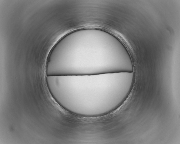 X0000113141236200909041202