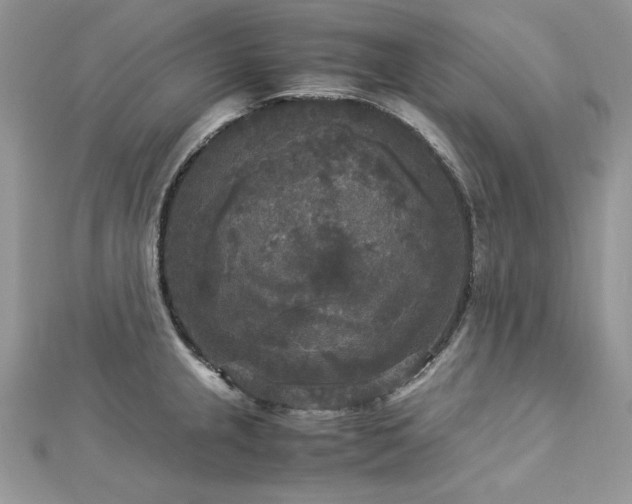 X0000113141237200909041202